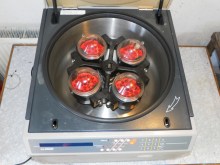 Nebyl vybrán žádný obrázek